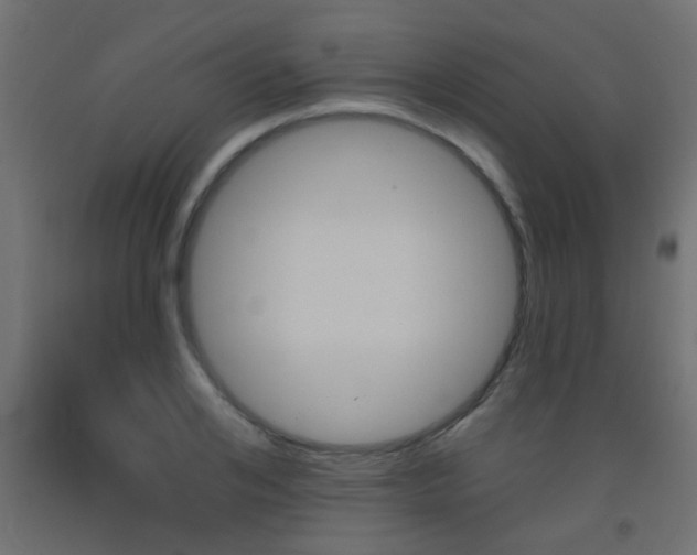 X0000093450984200710121002