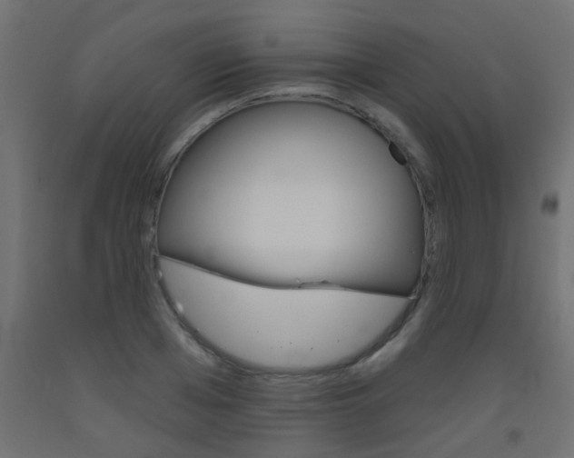 X0000093450985200710121002