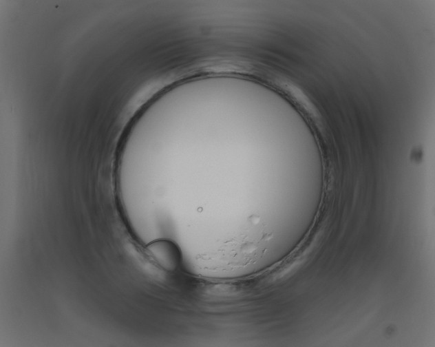 X0000093450986200710121002