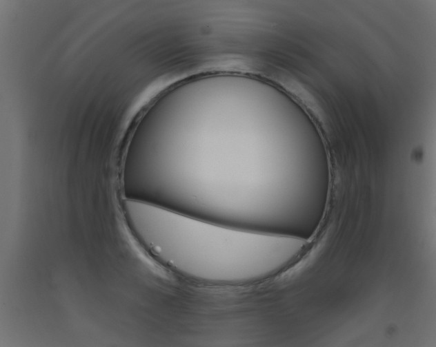 X0000093450989200710121002