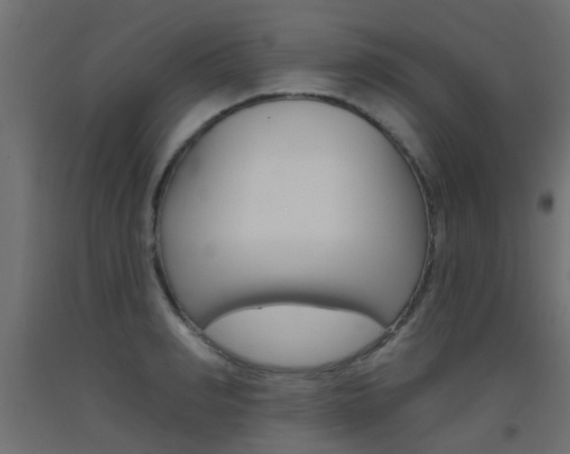X0000093450990200710121002