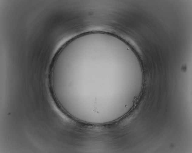 X0000093450991200710121002