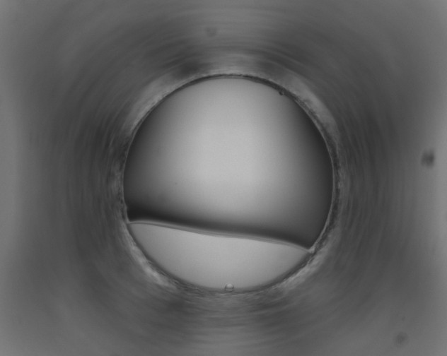 X0000093450993200710121002