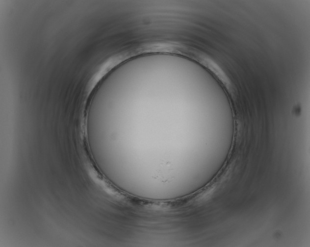 X0000093450994200710121002