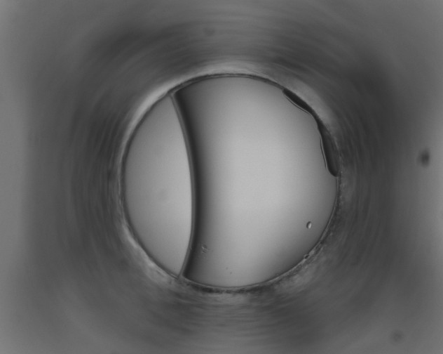 X0000093450996200710121002