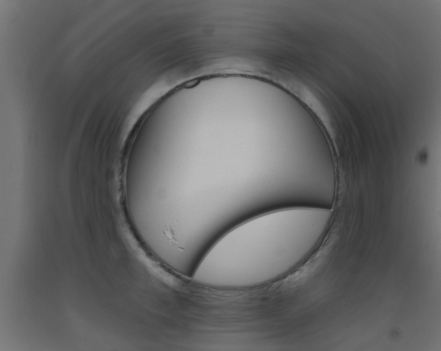 X0000093450997200710121002