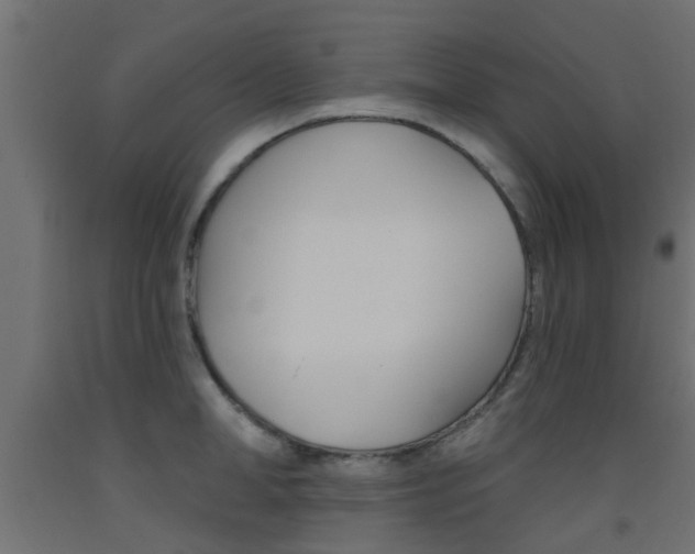 X0000093450998200710121002