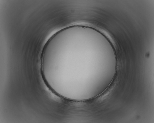 X0000093450999200710121002