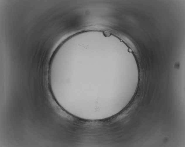 X0000093451000200710121002