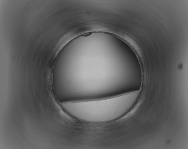 X0000093451001200710121002
