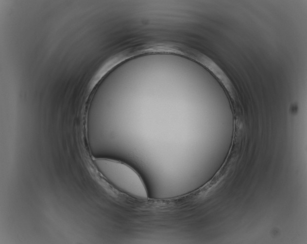 X0000093451002200710121002