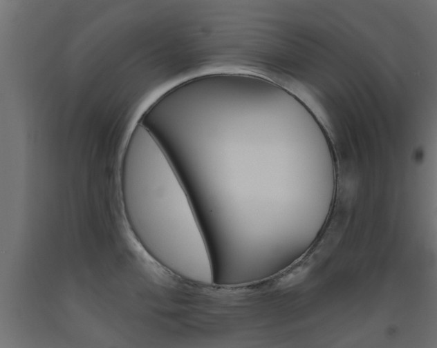 X0000093451004200710121002