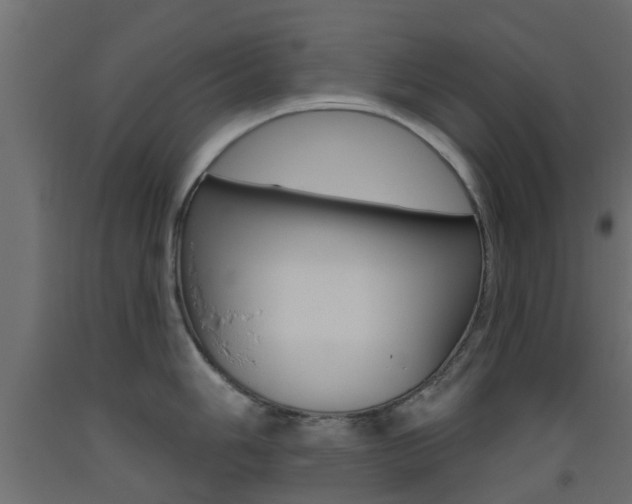 X0000093451006200710121002