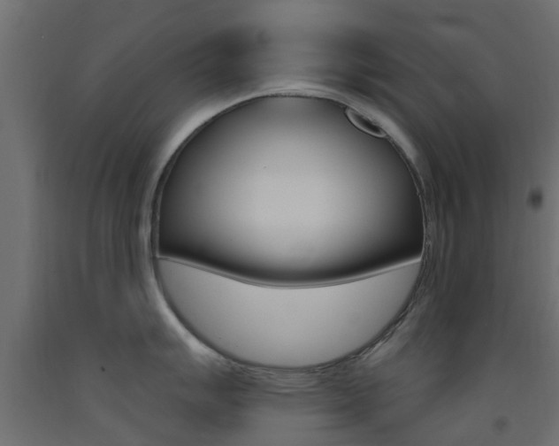 X0000093451007200710121002