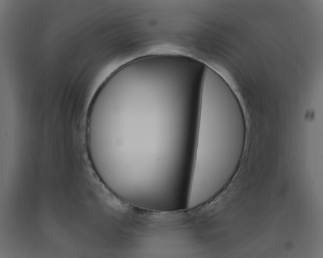 X0000093451008200710121002