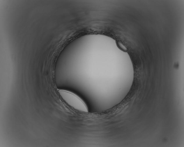 X0000093451009200710121001