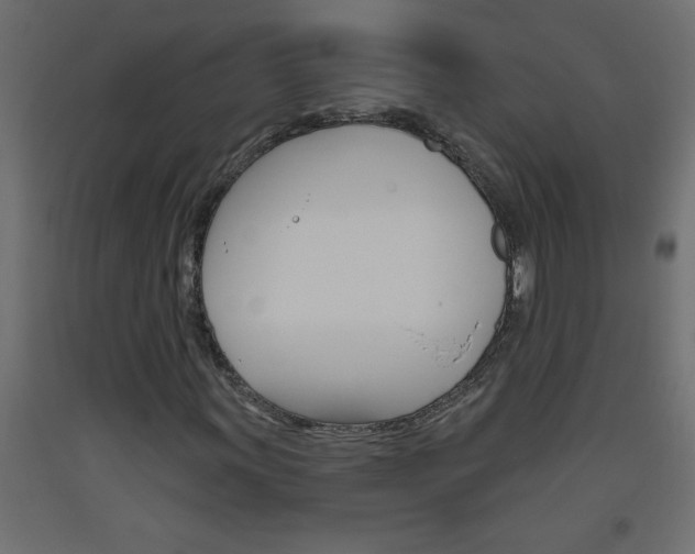 X0000093451011200710121001