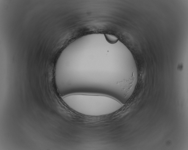 X0000093451012200710121001