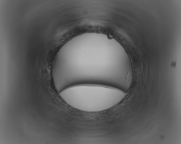 X0000093451013200710121001