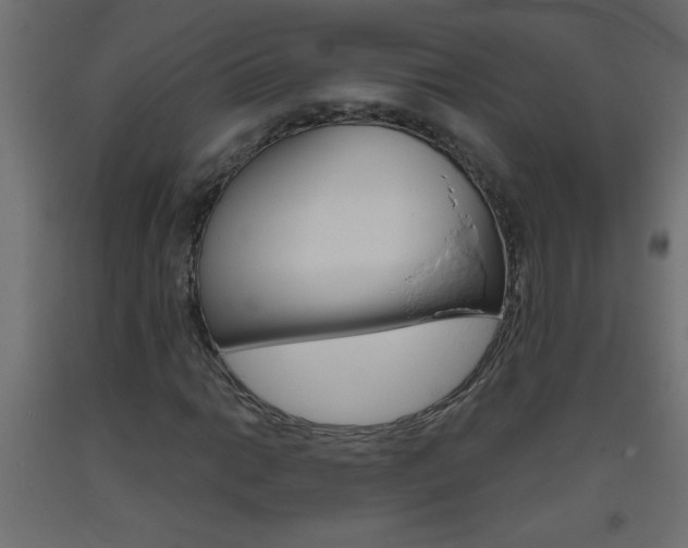 X0000093451014200710121001