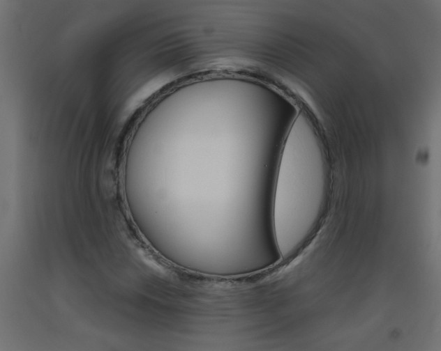 X0000093451018200710121001