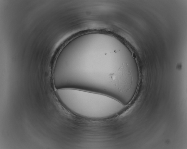 X0000093451021200710121001
