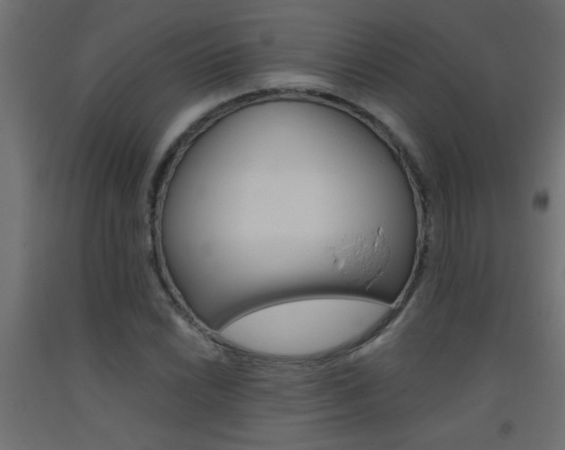 X0000093451022200710121001