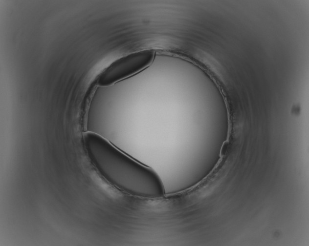 X0000093451026200710121001