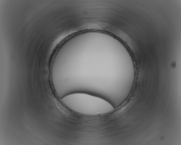X0000093451027200710121001