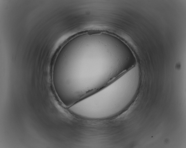 X0000093451030200710121001