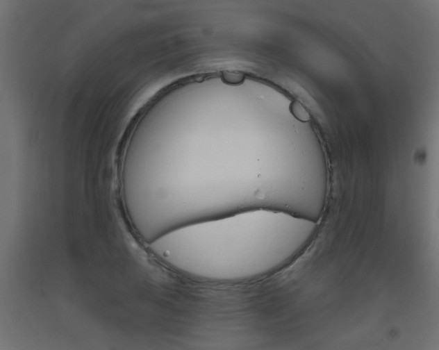 X0000093451031200710121001