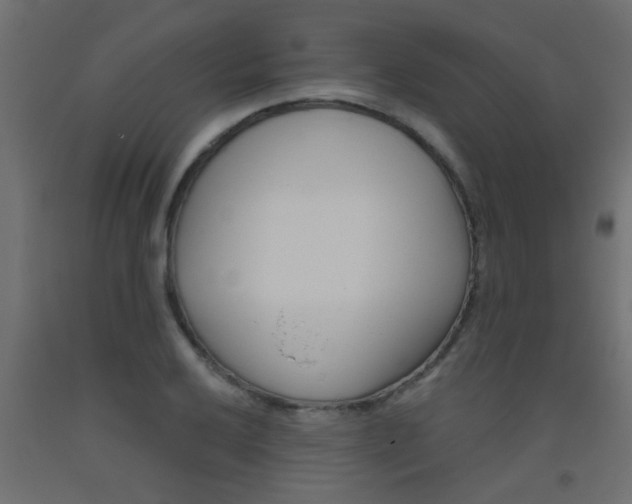 X0000093451032200710121001