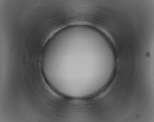 X0000093451033200710121001