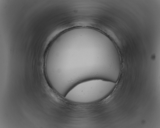 X0000093451035200710121001