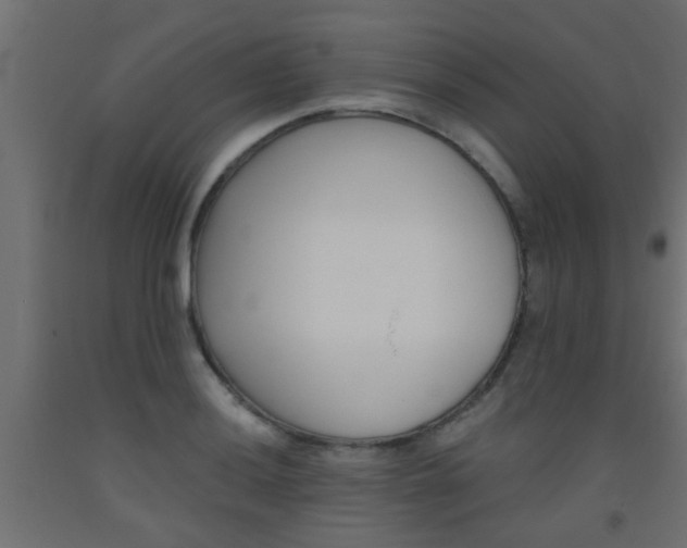 X0000093451036200710121001