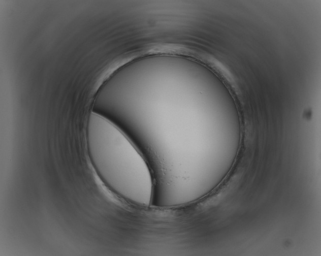 X0000093451041200710121001