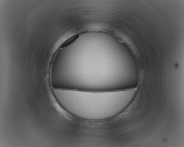 X0000093451042200710121001