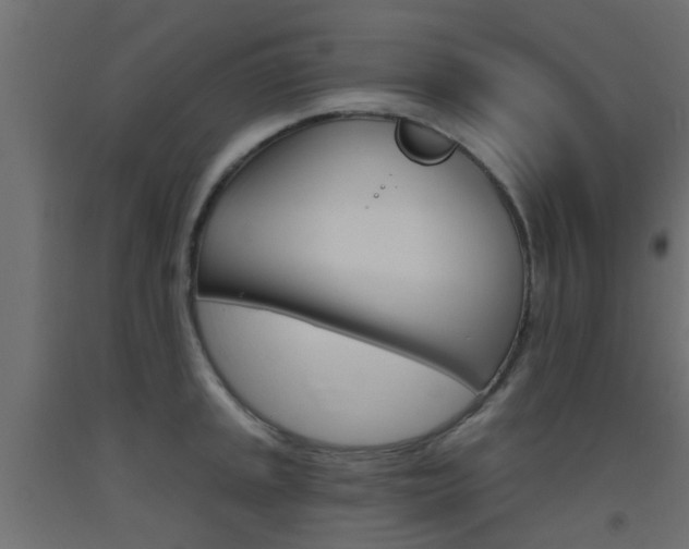 X0000093451045200710121001