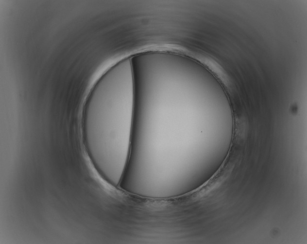 X0000093451046200710121001
