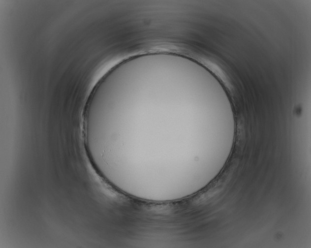 X0000093451047200710121001