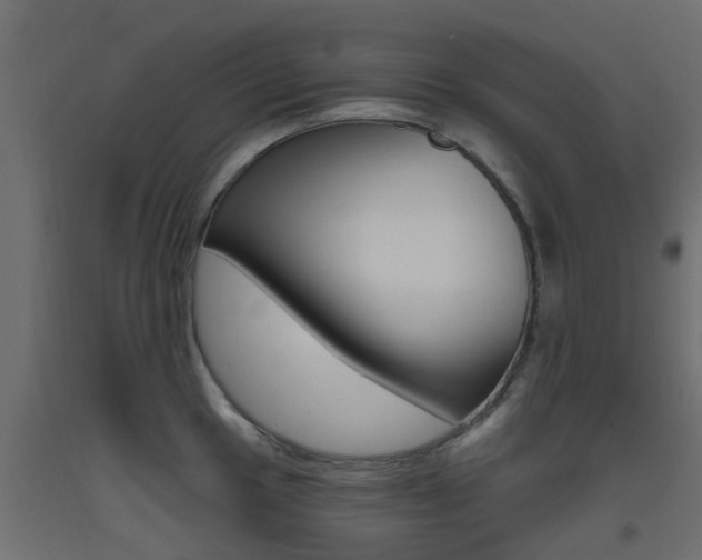 X0000093451049200710121002