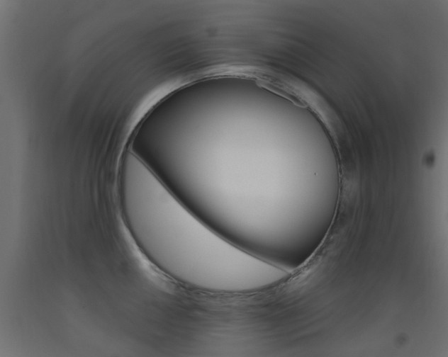 X0000093451050200710121002