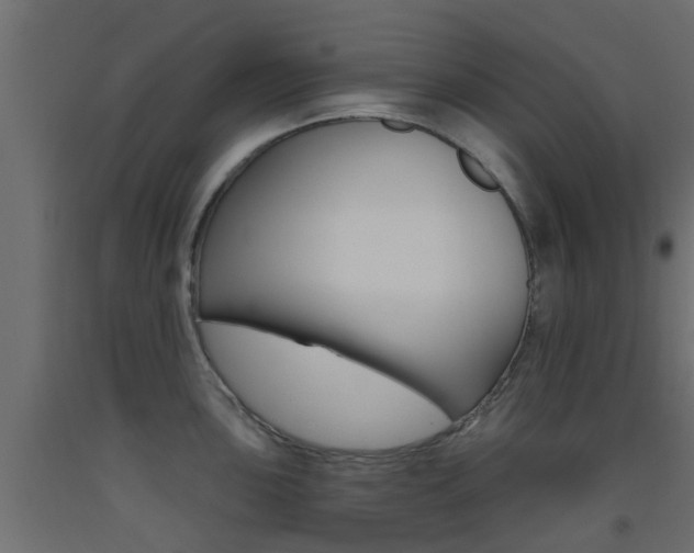 X0000093451051200710121002