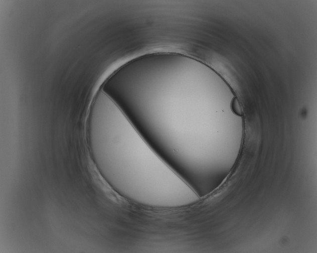 X0000093451052200710121002