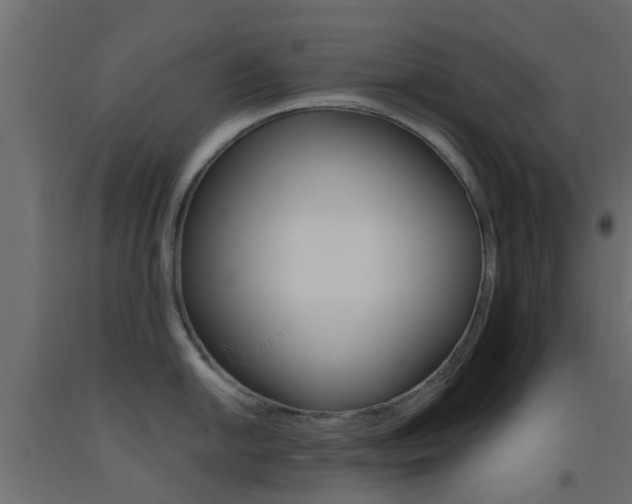 X0000093451054200710121002