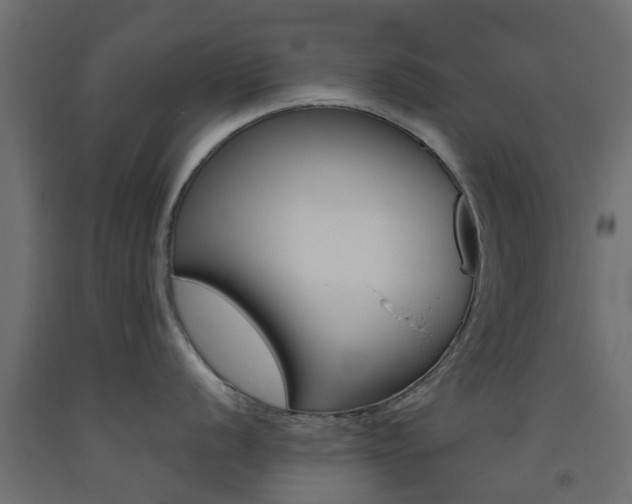 X0000093451056200710121002