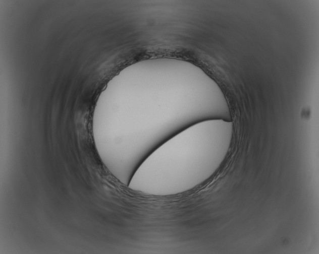 X0000093451059200710121001