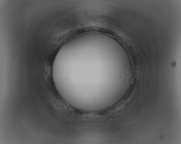 X0000093451061200710121001
