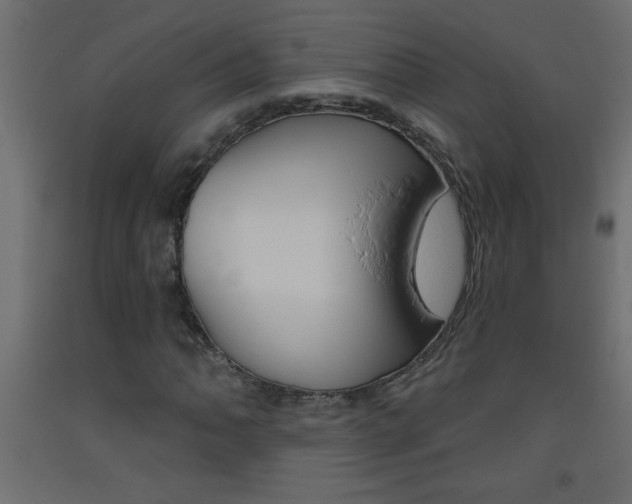 X0000093451062200710121001
