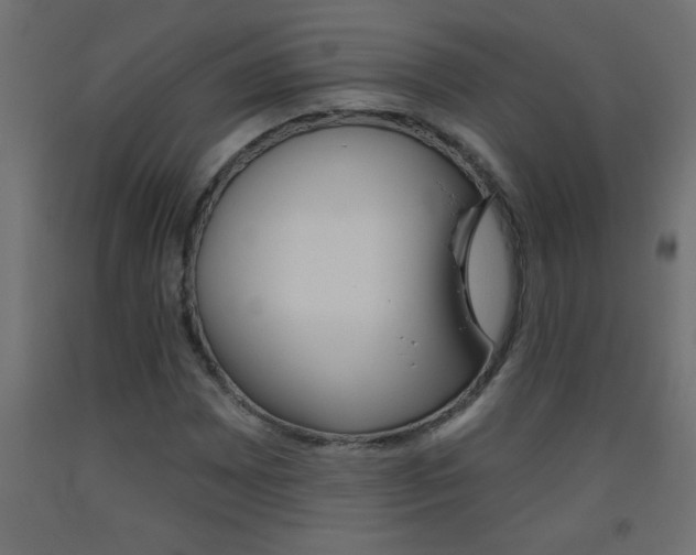 X0000093451065200710121001